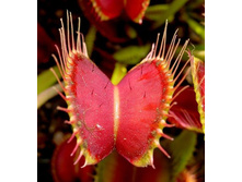 ������ 11.jpg