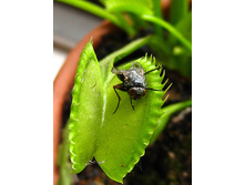 ������ 12.jpg