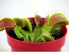 ������ 14.jpg