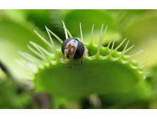 ������ 15.jpg