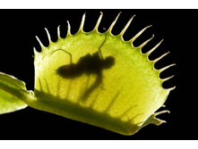 ������ 17.jpg