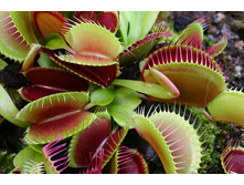 ������ 1.jpg