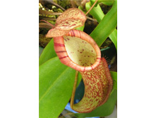 �������� 2.jpg