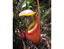 �������� 4.jpg