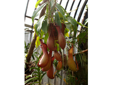 �������� 5.jpg