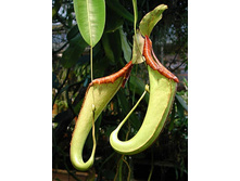 �������� 6.jpg