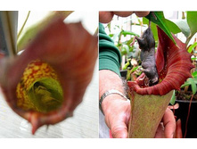 �������� 7.jpg