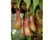 �������� 8.jpg