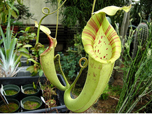 �������� 12.jpg