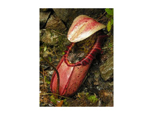 �������� 13.jpg