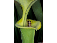 ���������� 1.jpg