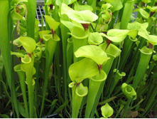 ���������� 6.jpg