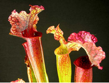 ���������� 8.jpg