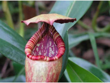 ���������� 10.jpg