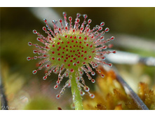 ������� 1.jpg