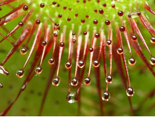 ������� 2.jpg