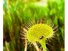 ������� 4.jpg