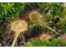 ������� 6.jpg