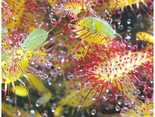 ������� 7.jpg