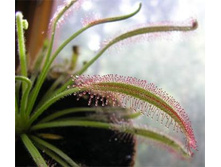 ������� 8.jpg