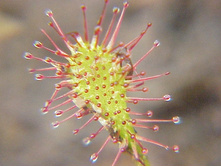 ������� 10.jpg