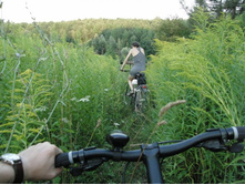 P7170291 [1600x1200].JPG