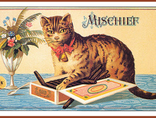 14749472_1200326386_bscsiMischief.jpg