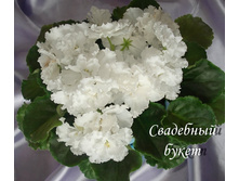 ��������� �����.JPG