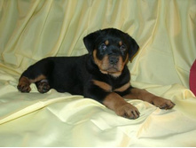 ��� ����� �� ���������....����