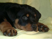 �������� �����...