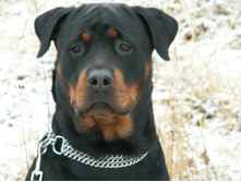 � ��� ����� �� �����.