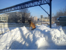 ���� ����.JPG