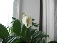 �� ������ 8-�� �����.JPG