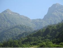 ������� ������.