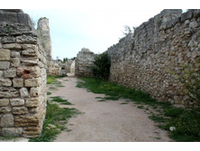 ��������.