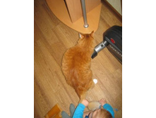 ���� ����� )) 2.JPG