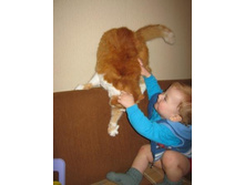 ���� ����� )) 3.JPG