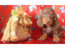 ���� � �������� �������-1.jpg
