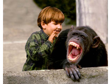 laughing_chimp.jpg