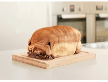 Loafdog.jpg