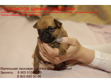 ���� ����������476.JPG