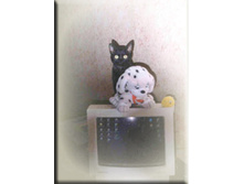 ��� � ��� ���������