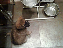 20110328_005.jpg