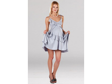 ������ ���������