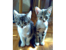 ���� (1).jpg