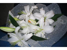 �������� �����