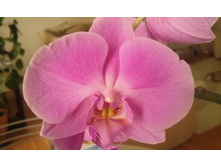 ����������� 001.jpg