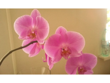 ����������� 002.jpg