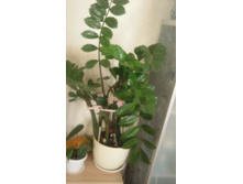 ������������