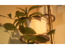 ����������� 023.jpg